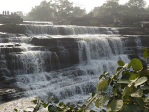 a waterfall with trees and bushes